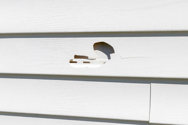 Reliable Pine Grove Mills, PA Junk Removal Solutions